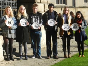 Egypt solidarity hunger strike 008